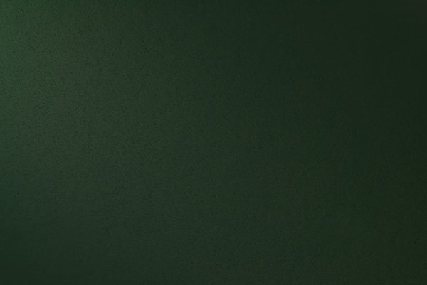 TactiTouch Green Зеленый 300гр/м2