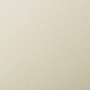 Fine Linen Bright White "Лен" Натурально-белый 120гр/м2