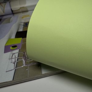 Inspiration Light Green Салатовый 120гр/м2