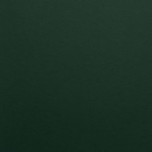 Populal Card Dark Green Темно-зеленый 300гр/м2
