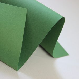 Fancy Colorful green spruce Зеленый  320гр/м2