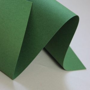 Fancy Colorful green spruce Зеленый 120гр/м2
