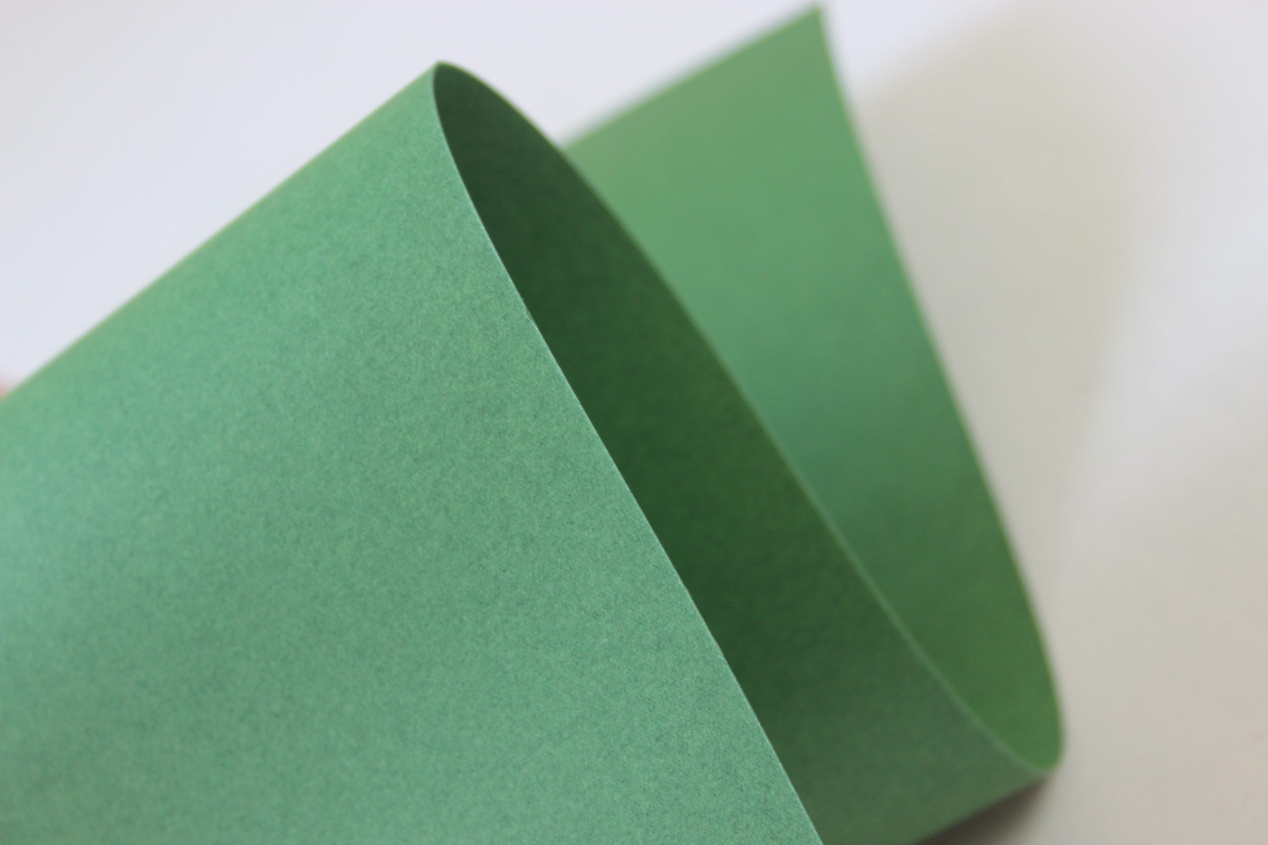 Fancy Colorful green spruce Зеленый 170гр/м2 — изображение 2