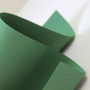Fancy Colorful green spruce Зеленый 170гр/м2