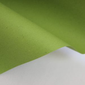 Soft Recycled Grass Зеленый 258гр/м2